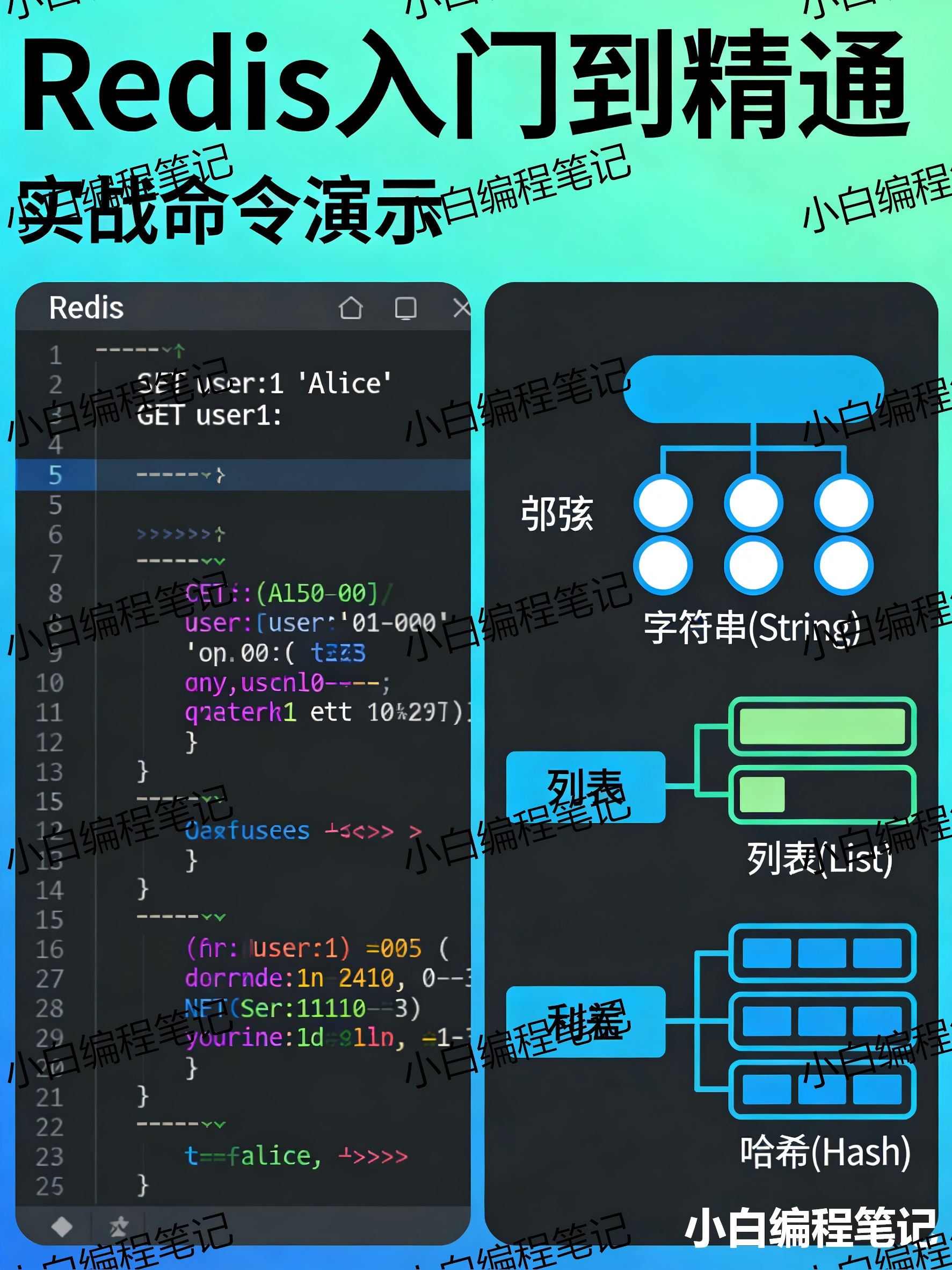 Redis 入门到精通 实战命令演示 秒杀系统/分布式锁/持久化