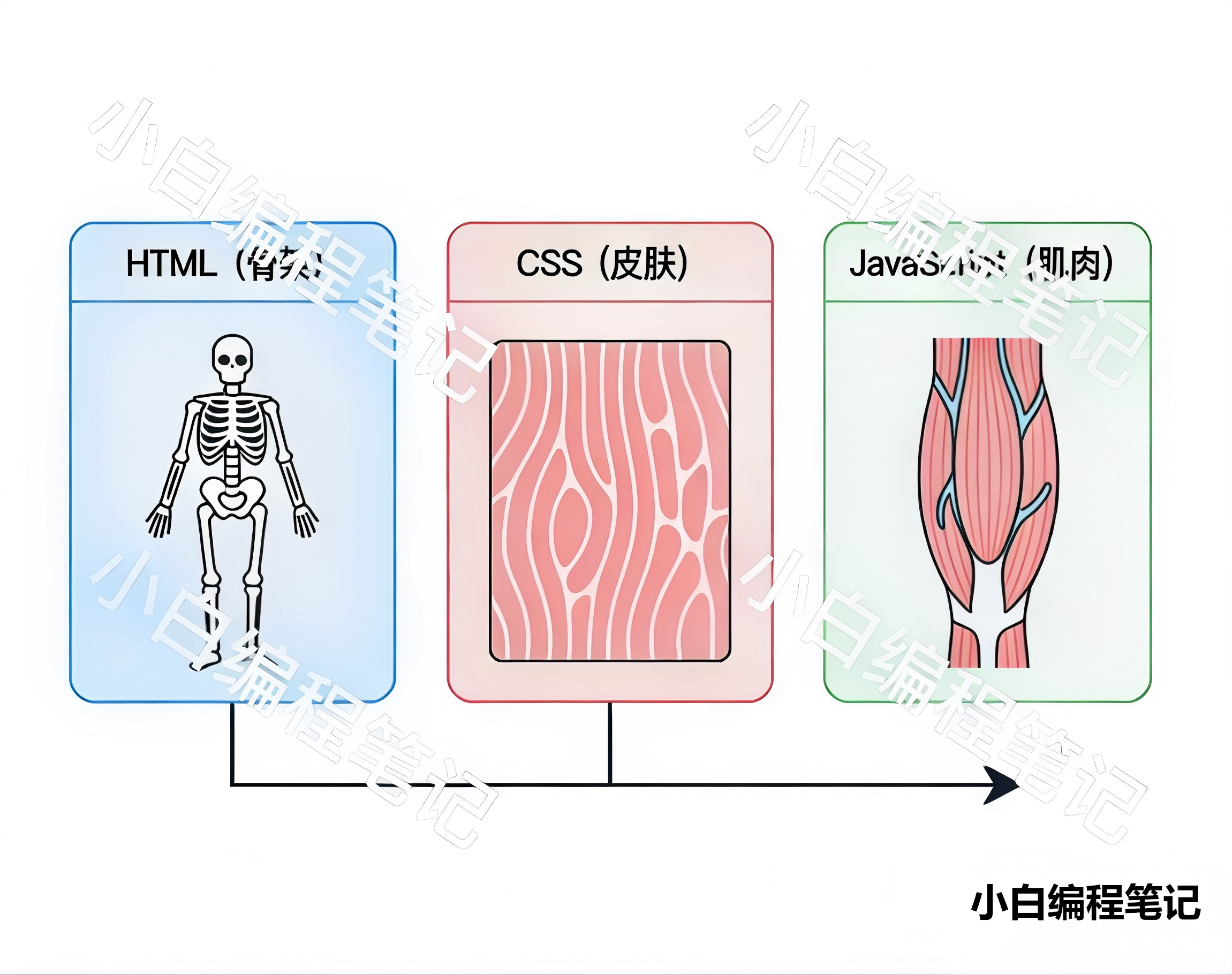HTML基础前端三要素结构示意图
