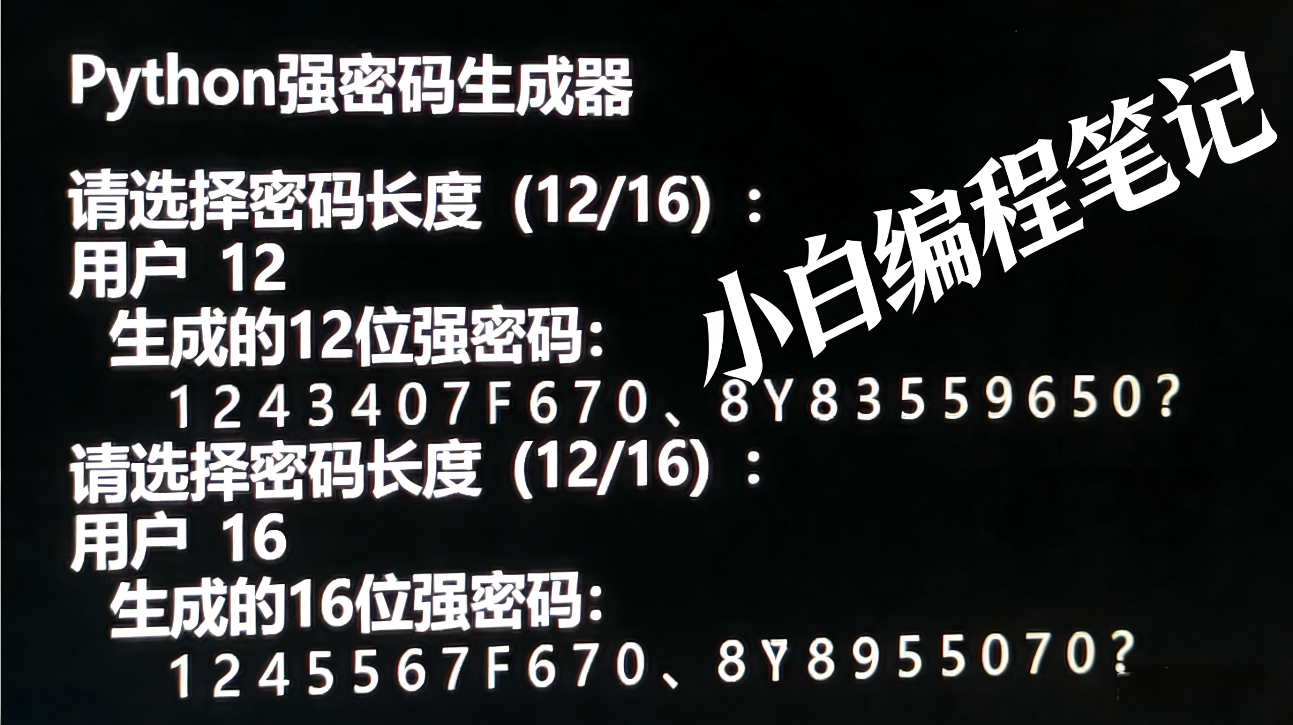 Python强密码生成器运行效果演示